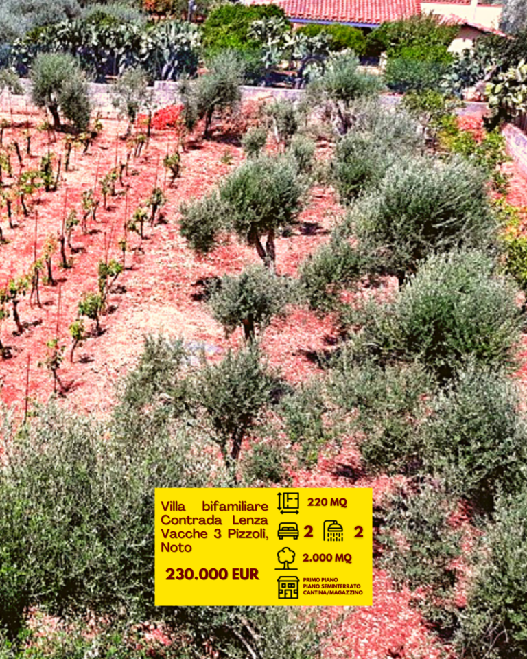 VillaBifamiliareNoto (5)