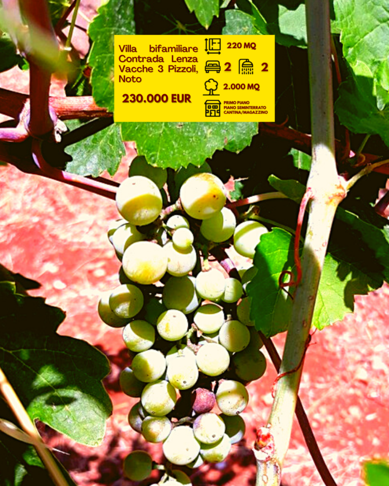 VillaBifamiliareNoto (6)