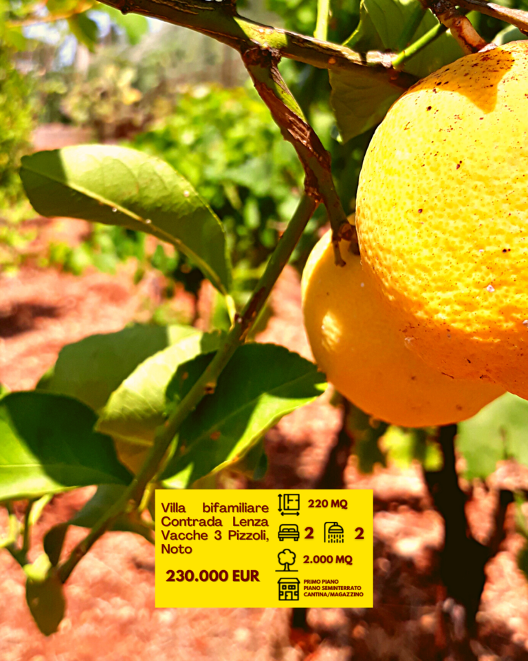 VillaBifamiliareNoto (8)